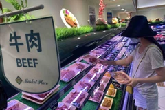 Các lực lượng chức năng tại cửa khẩu Tân Thanh kiểm tra mặt hàng vải quả tươi trước khi xuất khẩu sang Trung Quốc được nhanh chóng. (Ảnh: Quang Duy/TTXVN)