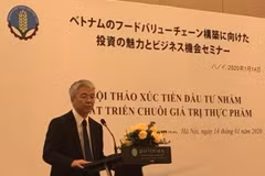 Ông Naomichi MUROOKA, Phó Trưởng đại diện JICA tại Việt Nam. (Ảnh: Quốc Huy/BNEWS/Vietanm+)