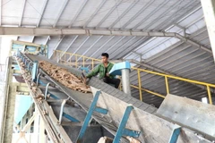 Công nhân sản xuất tại nhà máy tinh bột sắn. (Ảnh: Hoài Nam/TTXVN)