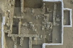 (Nguồn: themedialine.org)