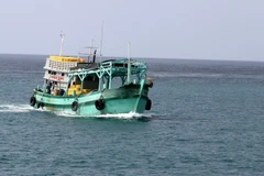 Tàu dịch vụ hậu cần nghề cá. (Ảnh minh họa: Lê Huy Hải/TTXVN)