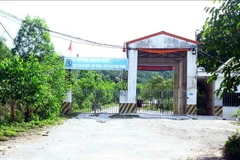 Trại lợn giống siêu nạc của Công ty Đại Thành Lộc. 