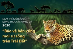 [Infographics] “Bảo vệ bền vững mọi sự sống trên Trái Đất”