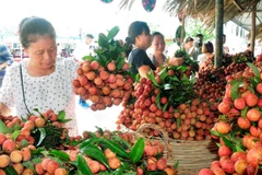 Sản phẩm vải thiều được công nhận OCOP giới thiệu tại siêu thị. (Ảnh: Phương Anh/TTXVN)