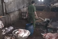 Lực lượng chức năng xác định, số thịt lợn trên được mổ từ những con lợn đã chết, bệnh, một số phần thịt có rất nhiều vết thâm tím và nổi mụn. (Ảnh: Lê Xuân/TTXVN)