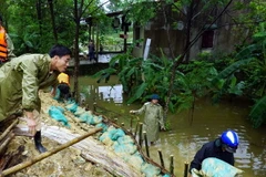 Các lực lượng bộ đội, công an, dân quân tự vệ tham gia gia cố đê sông Vinh. (Ảnh: Bích Huệ/TTXVN)