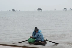 Người trông coi ngao trở vào đất liền sau một đêm ở lại chòi canh ngao. (Ảnh: Xuân Tiến/TTXVN)