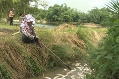 Người dân xử lý số cá nuôi bị chết. (Ảnh: Phước Ngọc/TTXVN)