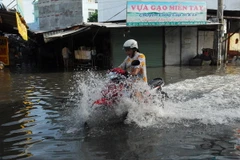 (Ảnh minh họa: Mạnh Linh/TTXVN)