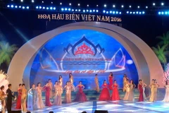 (Ảnh minh họa: Nguyễn Hoàng/TTXVN)