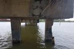 (Ảnh: Đoàn Hữu Trung/TTXVN)