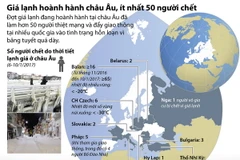 Nhấp chuột để xem kích thước chuẩn.