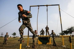 Ảnh minh họa. (Nguồn: THX/TTXVN)