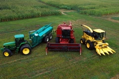 Ảnh minh họa. (Nguồn: Wikiwand)