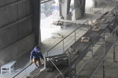 Ảnh minh họa. (Nguồn: TTXVN)