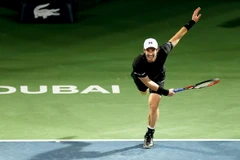 Tay vợt số 1 thế giới Andy Murray. (Nguồn: EPA/TTXVN)