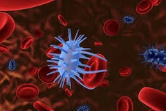 Virus tiêu diệt tế bào ung thư - Bước ngoặt lớn của nhân loại