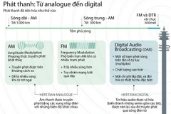 Nhấp chuột để xem kích thước chuẩn.
