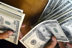 Ảnh minh họa. (Nguồn: AFP/TTXVN)