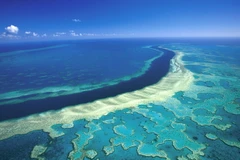 Rạn san hô Great Barrier. (Nguồn: Australian Geographic)