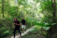 Khám phá khu rừng rộng hàng nghìn hecta cách Hà Nội 50km