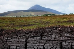 Ảnh minh họa. (Nguồn: Dissolve)