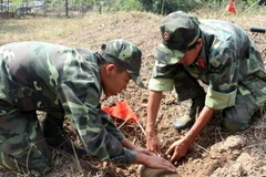 Ảnh minh họa. (Nguồn: TTXVN)