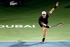 Tay vợt số 1 thế giới Andy Murray. (Nguồn: EPA/TTXVN)