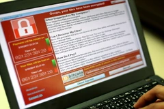 Một lập trình viên hiển thị mã độc trong vụ tấn công mạng ở Đài Bắc, Đài Loan (Trung Quốc). (Nguồn: EPA/TTXVN) 