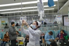 Ảnh minh họa. (Nguồn: Mint Mocha Musings)