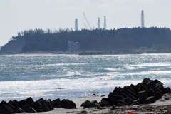 Ảnh minh họa. (Nguồn: AFP/TTXVN)