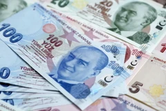 Ảnh minh họa. (Nguồn: Al Arabiya)