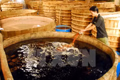 Sản xuất nước mắm ở Phú Quốc. (Ảnh: Thanh Vũ/TTXVN) 
