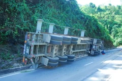 Ảnh minh họa. (Nguồn: TTXVN)