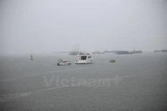 Ảnh minh họa. (Nguồn: Vietnam+)