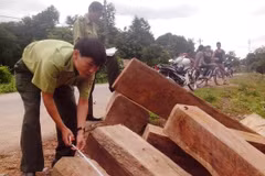 Ảnh minh họa. (Nguồn: TTXVN)