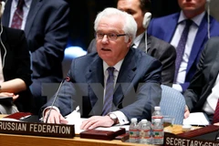 Đại sứ Nga tại Liên hợp quốc Vitaly Churkin. (Nguồn: EPA/TTXVN)