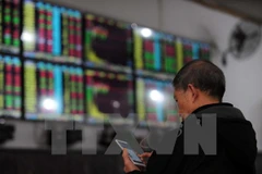Nhà đầu tư theo dõi tỷ giá chứng khoán tại thành phố Vũ Hán, tỉnh Hồ Bắc, miền Trung Trung Quốc. (Nguồn: AFP/TTXVN)