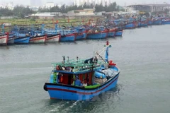 Ảnh minh họa. (Nguồn: TTXVN)