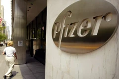 Ảnh minh họa. (Nguồn: ibtimes.co.uk) 