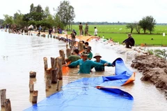 Ảnh minh họa. (Nguồn: TTXVN)