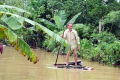 Nước lũ lên nhanh gây ngập và chia cắt tại xã Quảng Hải, thị xã Ba Đồn, Quảng Bình. Ảnh chụp lúc 7 giờ sáng 1/11/2016. (Ảnh: Đức Thọ/TTXVN)