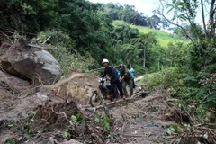 Ảnh minh họa. (Nguồn: TTXVN)