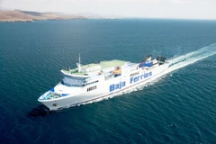 Ảnh minh họa. (Nguồn: tampabay.com)