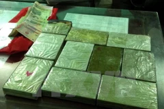 Ảnh minh họa. (Ảnh: Văn Đạt/TTXVN)