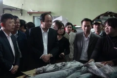  Bộ trưởng, Chủ nhiệm Văn phòng Chính phủ Mai Tiến Dũng kiểm tra thủy sản tại các kho động lạnh trên địa bàn tỉnh Quảng Bình. (Ảnh: Đức Thọ/TTXVN) 