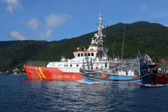 Ảnh minh họa. (Nguồn: TTXVN)