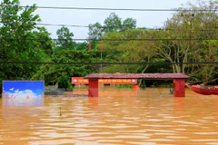 Ảnh minh họa. (Nguồn: TTXVN)