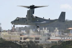Máy bay MV-22 Osprey của Nhật Bản. Ảnh minh họa. (Nguồn: Kyodo/TTXVN)
