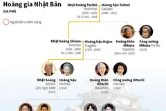 [Infographics] Tổng hợp về lịch sử gia phả Hoàng gia Nhật Bản